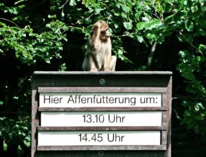 Zeitmanagement Blogger